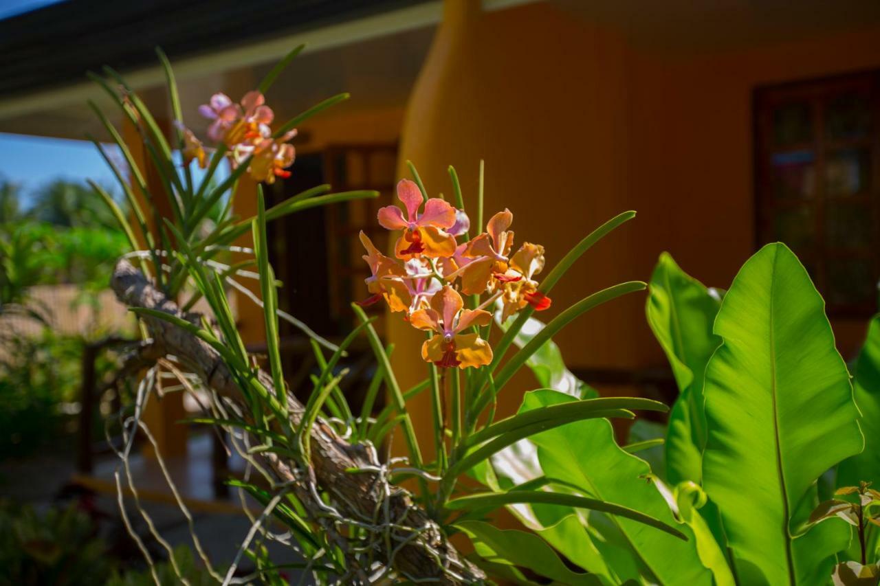 Chekesh Casa Hotell Siquijor Exteriör bild