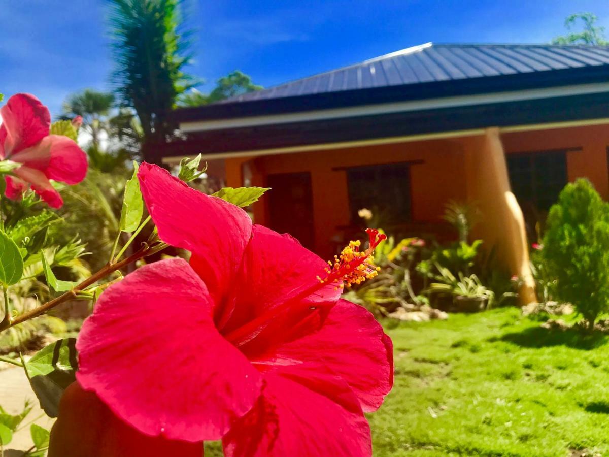 Chekesh Casa Hotell Siquijor Exteriör bild